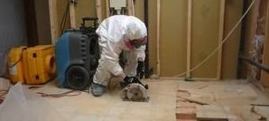 Technician Removing Flooded Floorboards